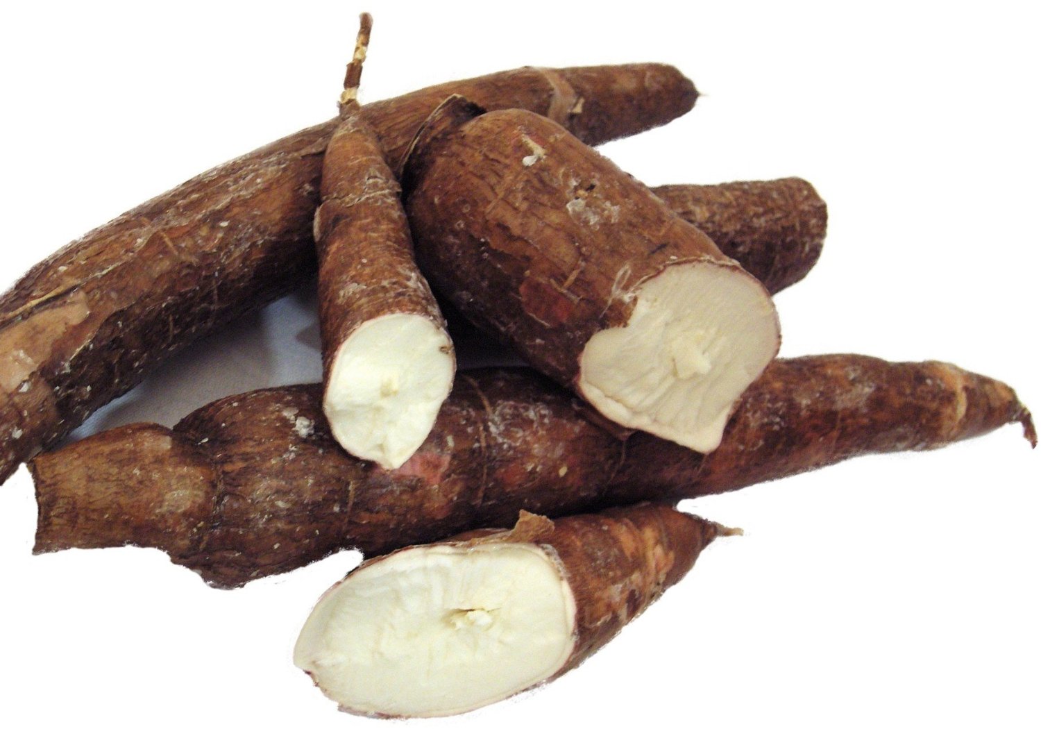 Cassava-Manioc Cassava-Manioc
