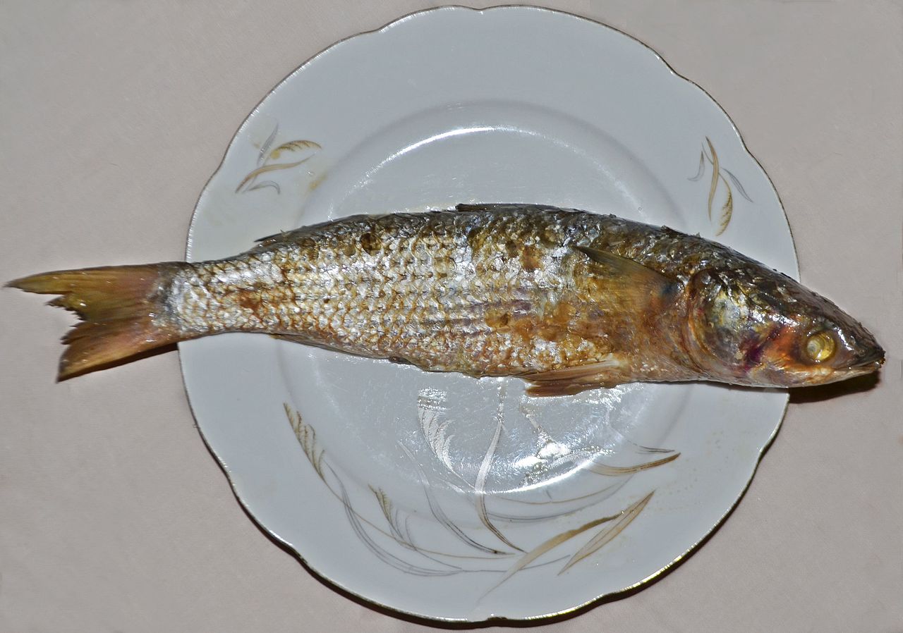 Fekish